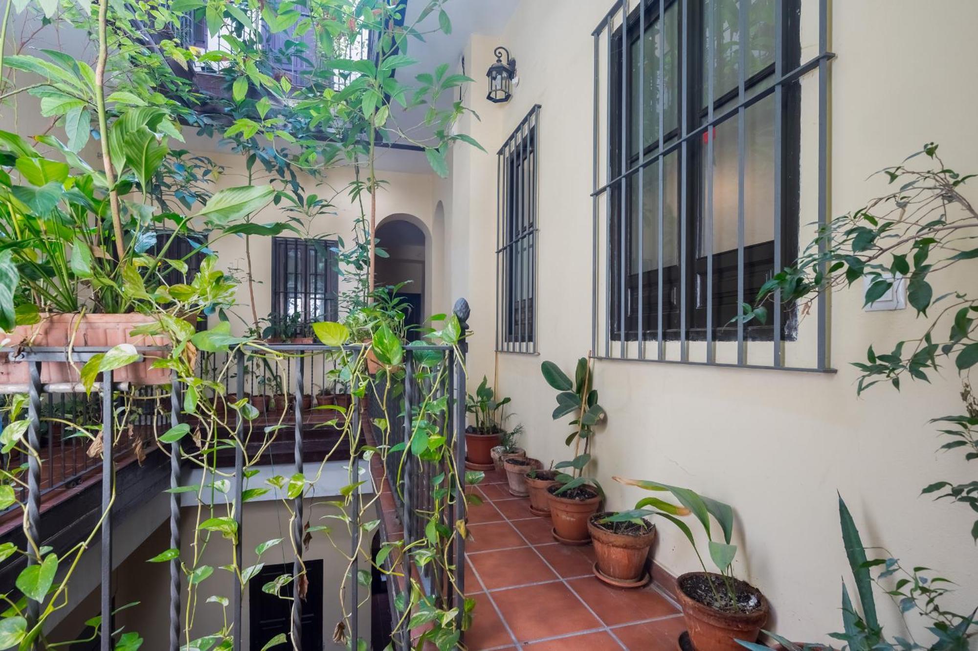 סביליה Plaza San Marcos Apartment מראה חיצוני תמונה