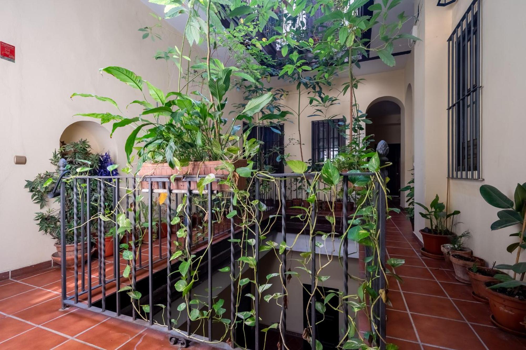 סביליה Plaza San Marcos Apartment מראה חיצוני תמונה